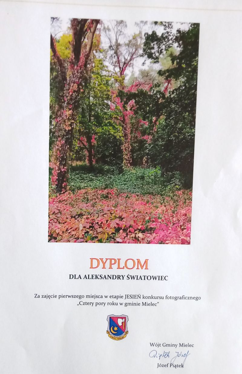 dyplom kf